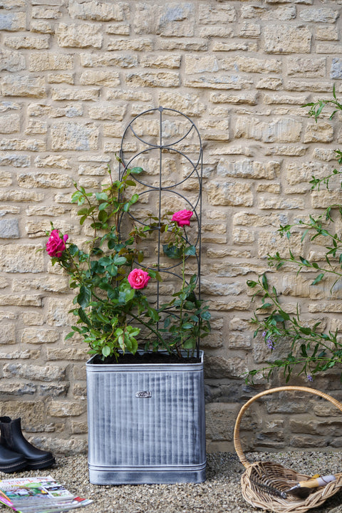 Rustic Outdoor Trellis with Cylinder Design in Zinc Finish