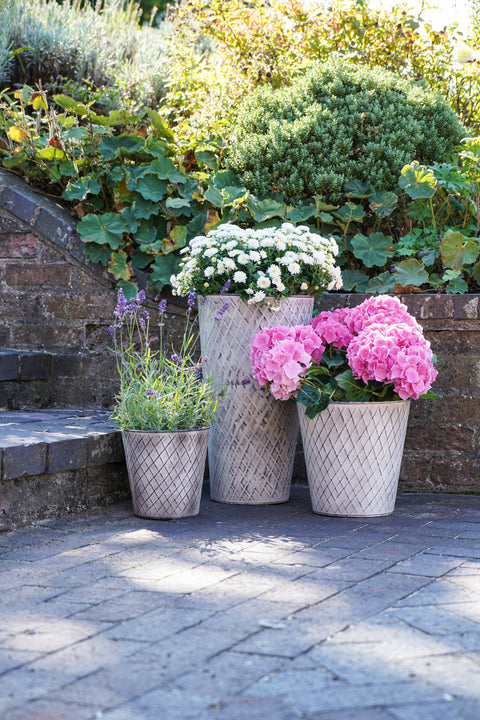Outdoor Chatsworth Zinc Planter H26Cm W26Cm