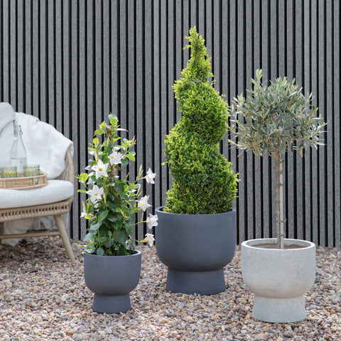 Contemporary Weather-resistant Bowl shaped Planter set of 3
