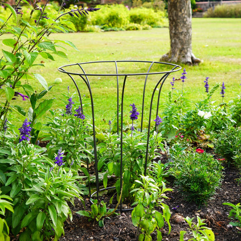 Elegant and Versatile Fluted Plant Climber with Zinc Finish