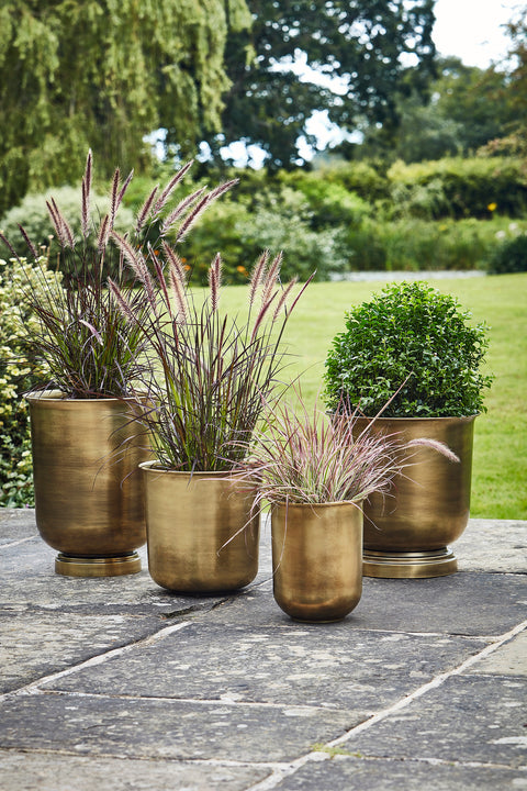 Antique Luxurious Brass Metal Planter