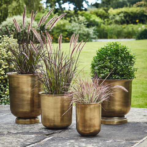 Antique Luxurious Brass Urn style Metal Planter