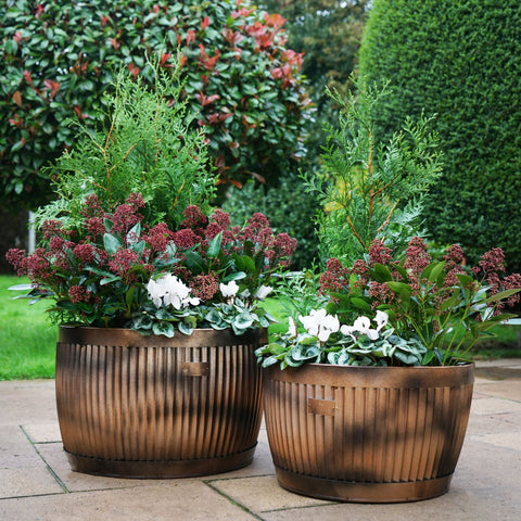 Red-bricked Kitchen Style Copper Bowl Planter set of 2