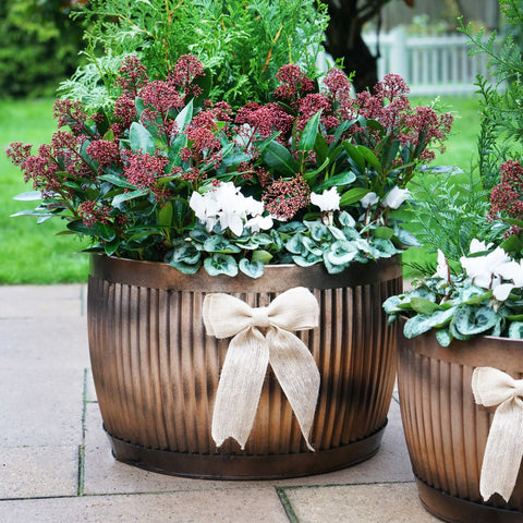 Red-bricked Kitchen Style Copper Bowl Planter set of 2