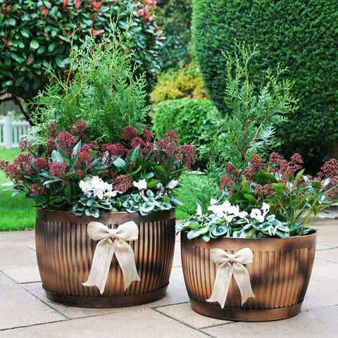 Red-bricked Kitchen Style Copper Bowl Planter set of 2