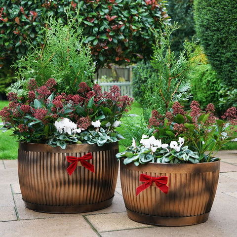 Red-bricked Kitchen Style Copper Bowl Planter set of 2