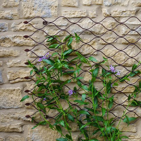 Versatile Outdoor Trellis with Honeycomb Design and Bronze Finish