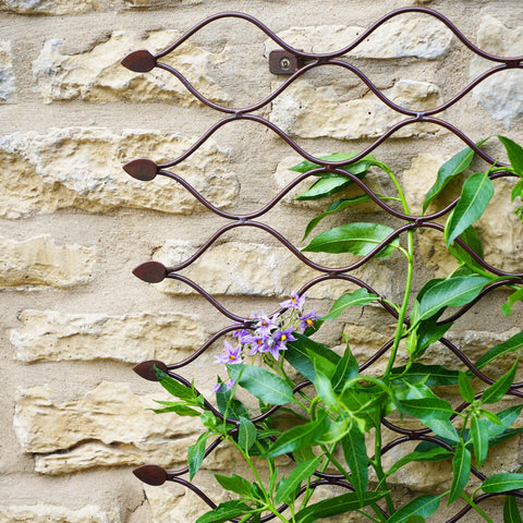 Versatile Outdoor Trellis with Honeycomb Design and Bronze Finish