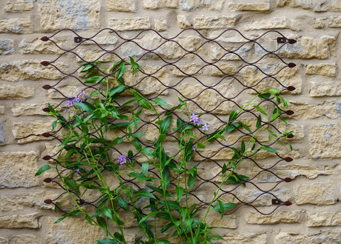 Versatile Outdoor Trellis with Honeycomb Design and Bronze Finish