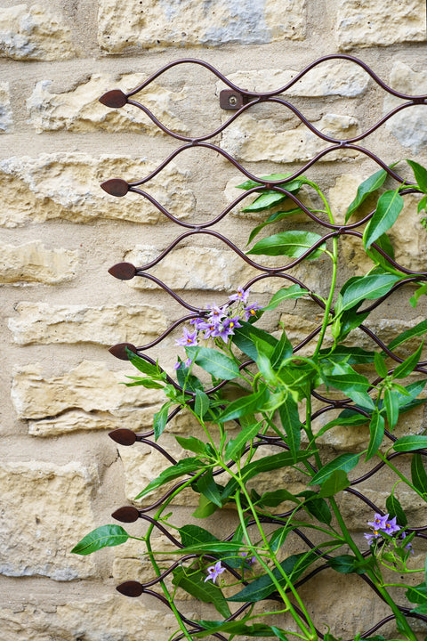 Versatile Outdoor Trellis with Honeycomb Design and Bronze Finish