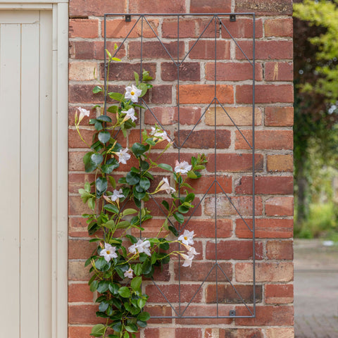 Elegant Trellis with Herringbone Design and Zinc Finish