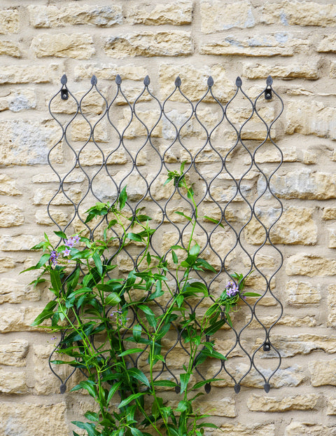 Versatile Outdoor Trellis with Honeycomb Design and Zinc Finish