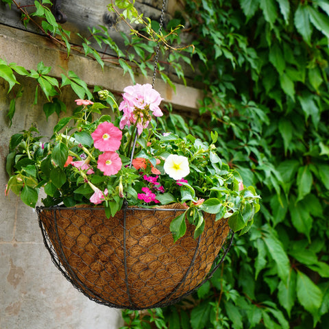 Versatile Wired Hanging Basket with Zinc Finish
