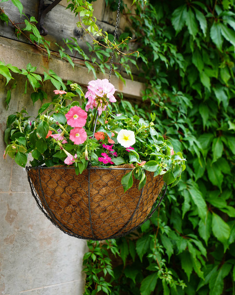 Versatile Wired Hanging Basket with Zinc Finish