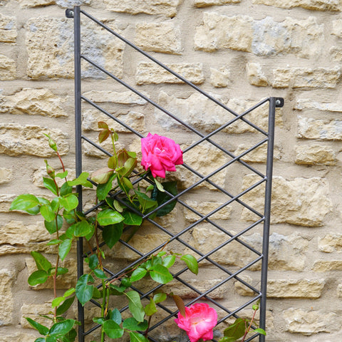 Modern Outdoor Trellis with Linear Design and Zinc Finish