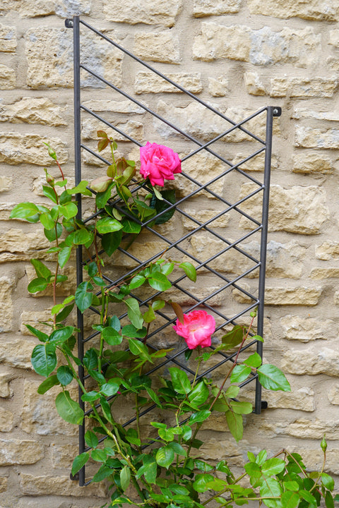 Modern Outdoor Trellis with Linear Design and Zinc Finish