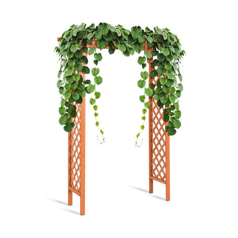 Decorative Fir Wood Arch with Climbing Plans Structure