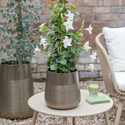 Classy Outdoor Pewter Planter set of 2 with Metallic Finish