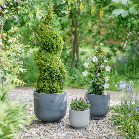 Raw Urban style Planter set of 3 with Concrete Effect