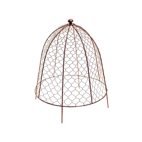 Rustic Protective Plant Wire Cover in Bronze Finish