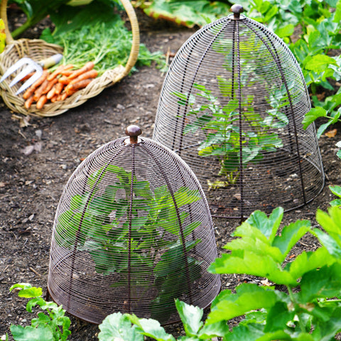 Versatile Protective Plant Wire Cover in Bronze Finish