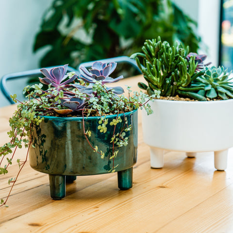 Premium Elegant Indoor Planter with Tripod Base with Shiny Reactive Glaze