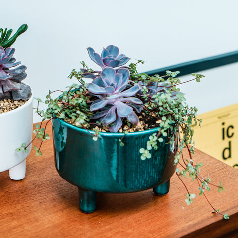 Premium Elegant Indoor Planter with Tripod Base with Shiny Reactive Glaze