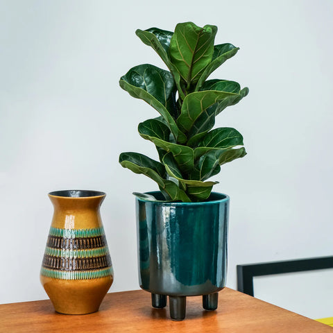 Contemporary Ceramic Planter with Tripod Legs and Glaze Finish in Emerald