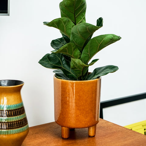 Contemporary Ceramic Planter with Tripod Legs and Glaze Finish in Mustard