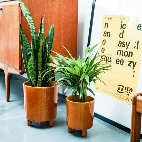 Contemporary Ceramic Planter with Tripod Legs and Glaze Finish in Mustard