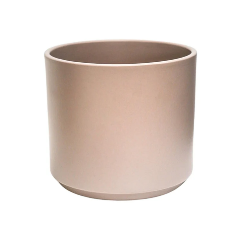 Elegant Indoor Planter with Immaculate Colour Finish