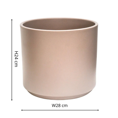 Elegant Indoor Planter with Immaculate Colour Finish