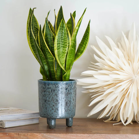 Contemporary Ceramic Planter with Tripod Legs and Glaze Finish in Blue