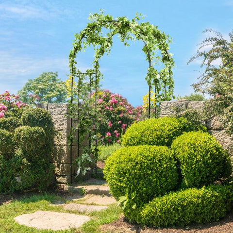 Garden Decorative Plant Archway with Wide Application in Black