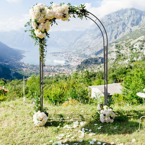 Garden Decorative Plant Archway with Wide Application in Black