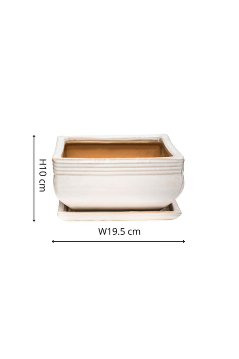 Elegant set of 2 Square Bonsai Planters with Glaze Finish