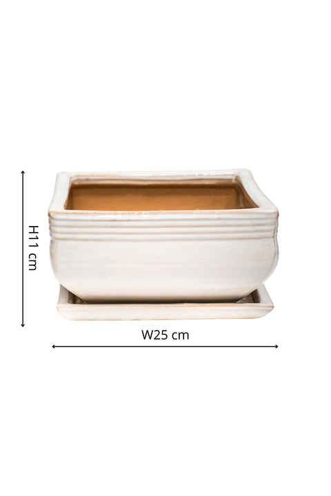 Elegant set of 2 Square Bonsai Planters with Glaze Finish