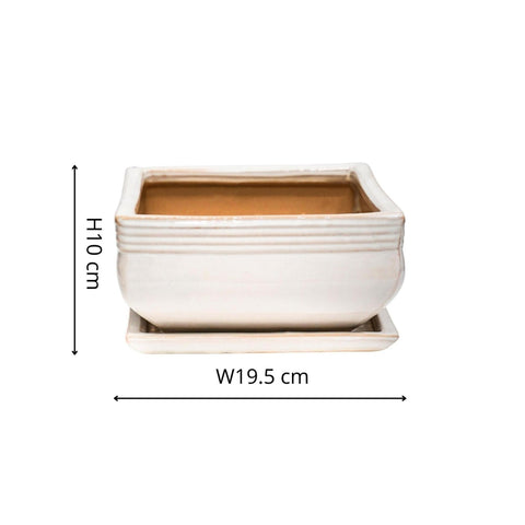 Elegant set of 2 Square Bonsai Planters with Glaze Finish