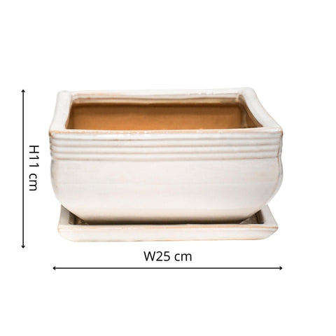 Elegant set of 2 Square Bonsai Planters with Glaze Finish