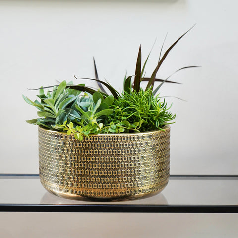 Elegant Hand-Finished Steel Plant Bowl with Gold-tone Embossing