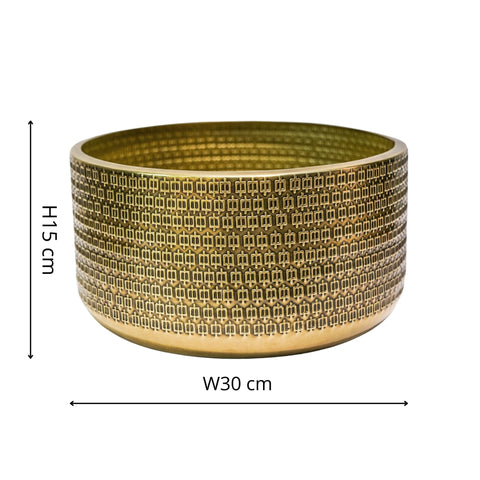 Elegant Hand-Finished Steel Plant Bowl with Gold-tone Embossing