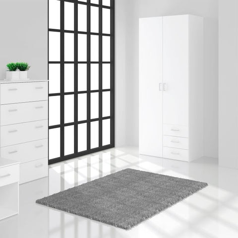 Modern and Minimalistic Wardrobe with Prine and Clean Finish