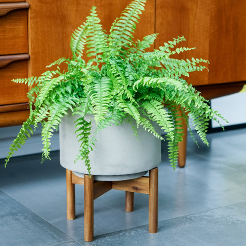 Scandinavian-style Indoor Planter with Wooden Stand in Concrete Grey