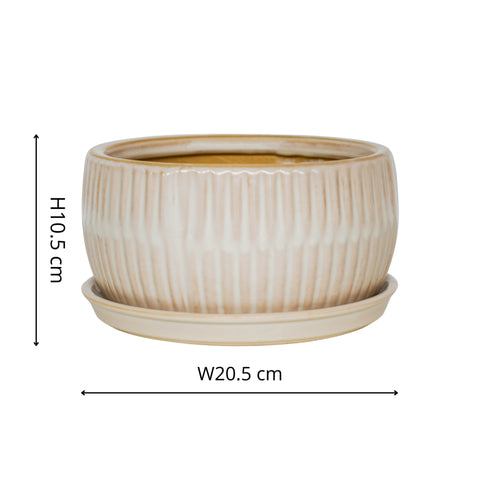 Dazzling set of 2 Indoor Bonsai Planters with Reactive Glaze in White