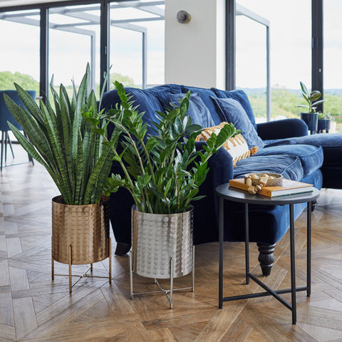 Industrial-style Mild Steel Indoor Planter with Embossed Exterior in Gold