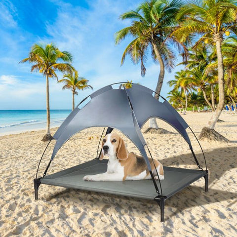 Elevated Pet Bed with Detachable Canopy