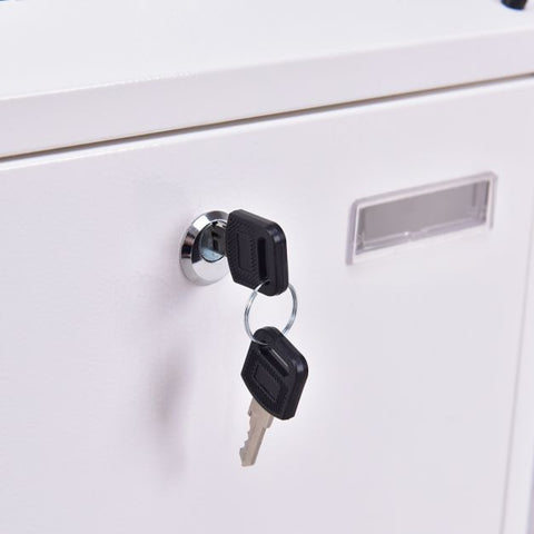 Wall Mounted Premium Steel Lockable Letter Box