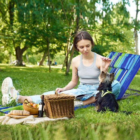Garden Foldable Beach Mat Chair and Table set in Navy
