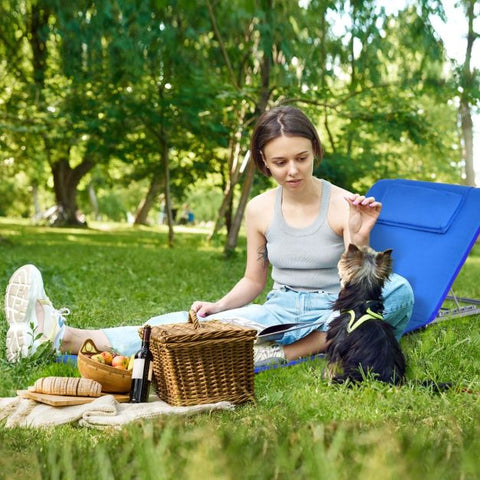 Garden Foldable Beach Mat Chair and Table set in Navy