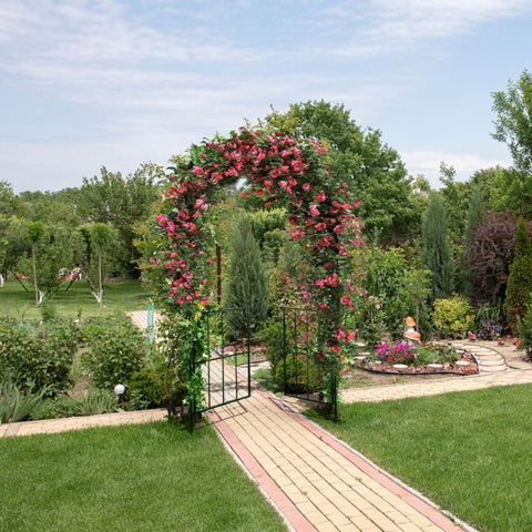 Versatile 230CM Arbour Archway with Heavy-Duty Frame in Black